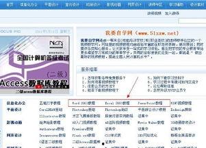 成人办公软件速成课视频,轻松掌握成人必备技能