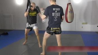 成人泰拳搏击格斗视频