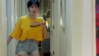 国产精品张飞跃,国产精品的匠心独运与时代印记